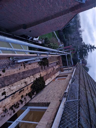 Pegasus Scaffolding Essex Ltd — Customer photo