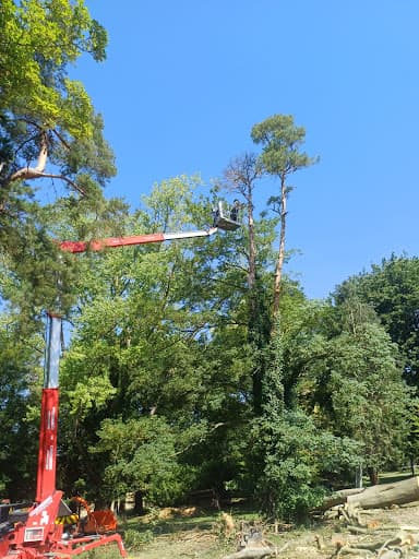red lift hire powered access — Customer photo