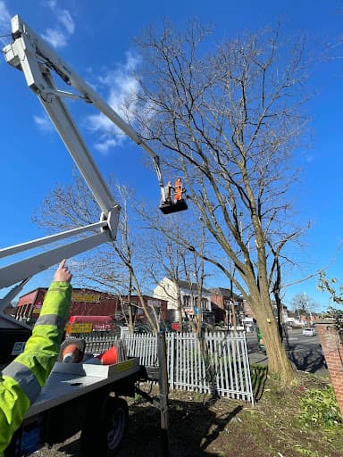 Power Lift Access Cherry Picker Hire — Customer photo
