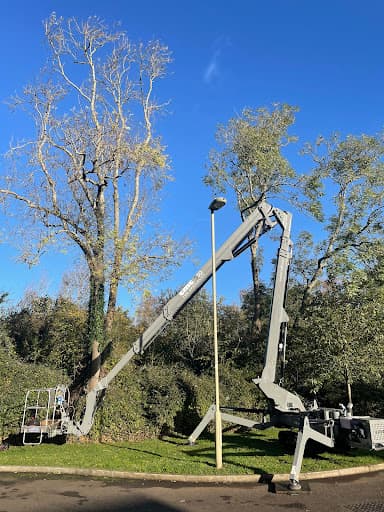 Affordable Access Hire Ltd — Customer photo