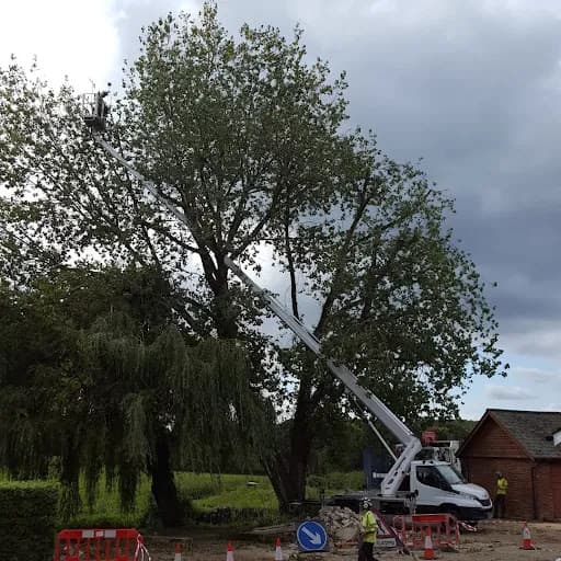 Affordable Access Hire Ltd — Customer photo